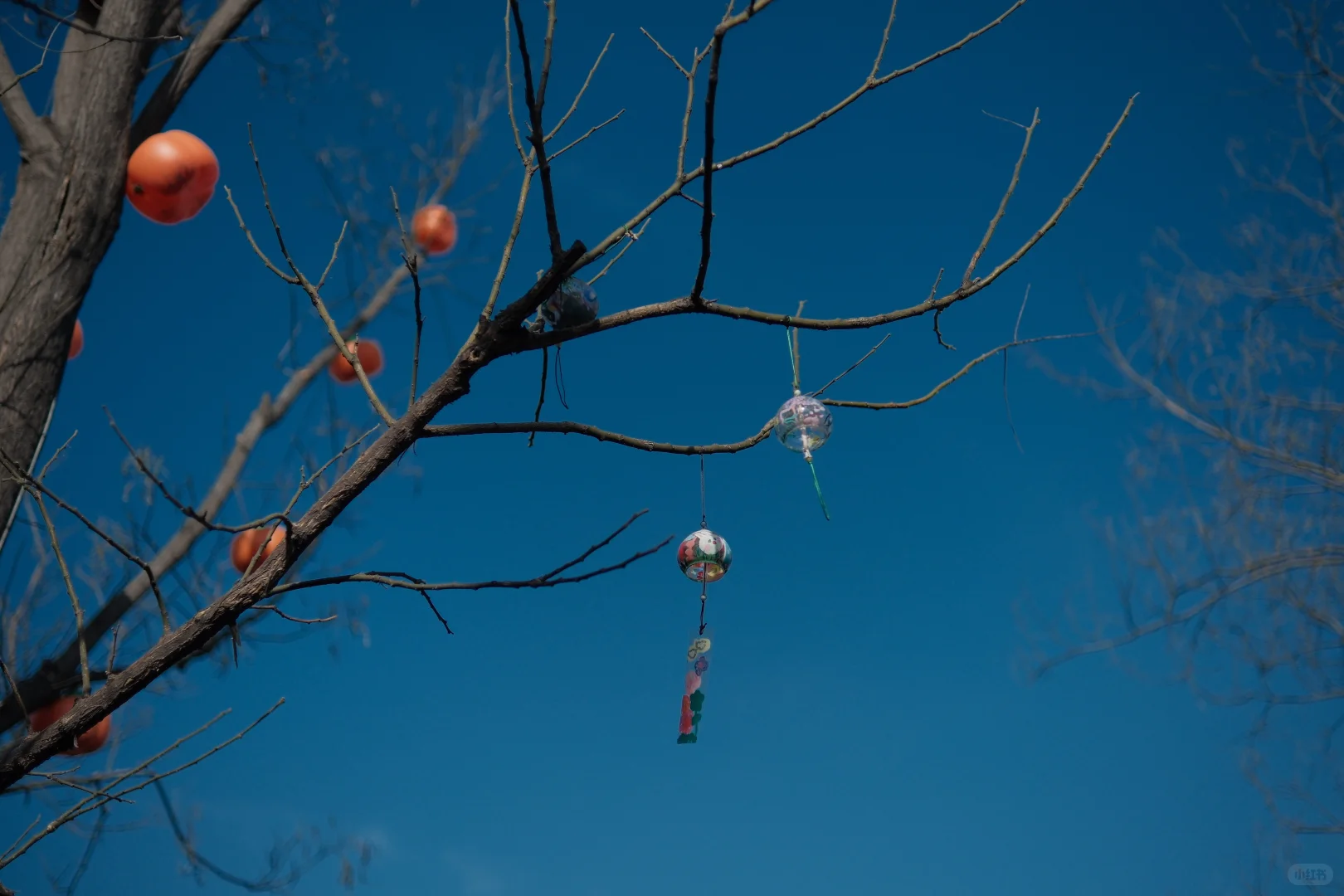 大同古城-东南邑