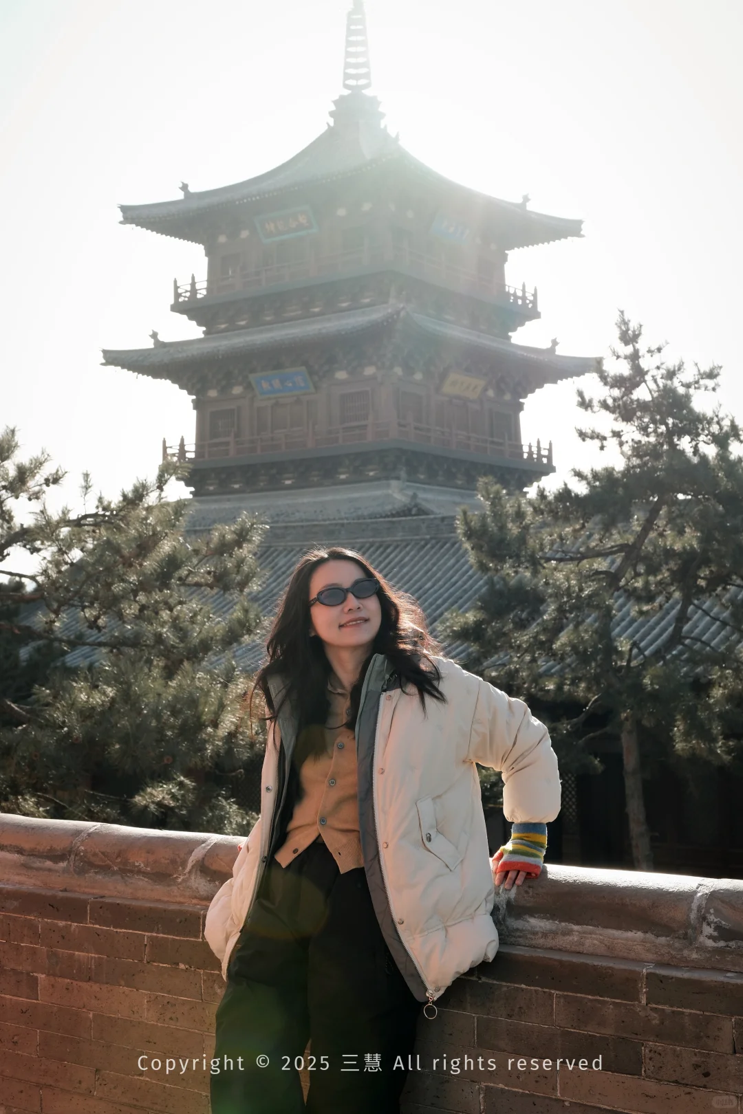 大同富士女摄｜北方冬日枯树 中式美学氛围感