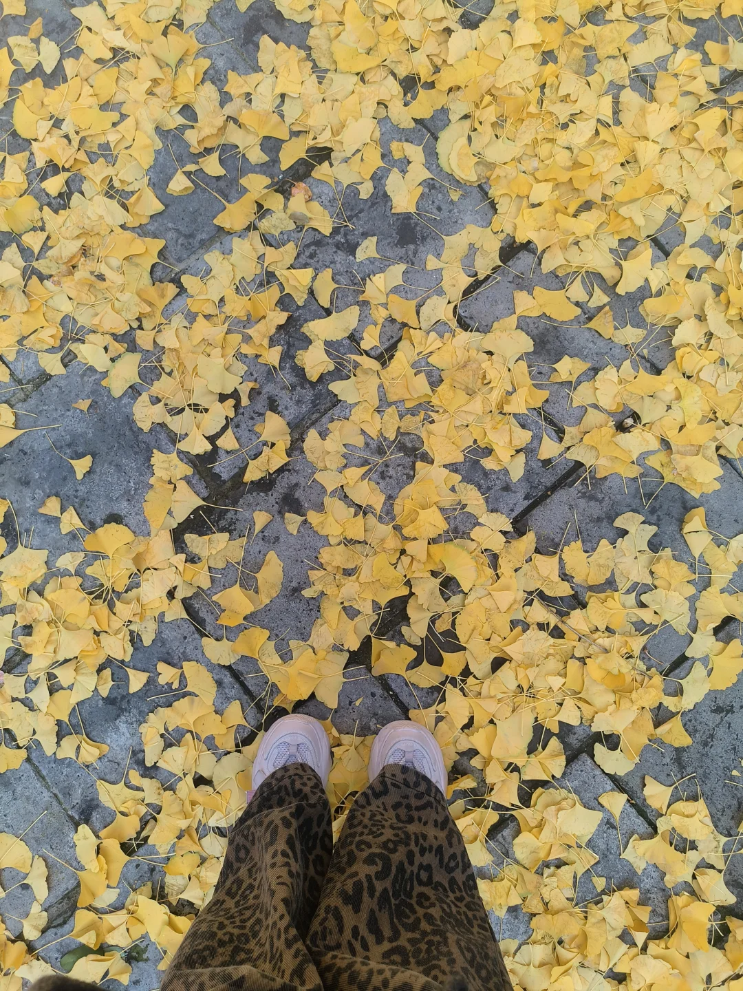 长治秋日限定🧡出片像呼吸一样简单❗