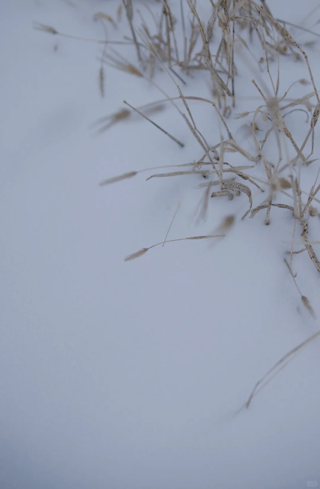 大同 | 册田水库，冬天日落金山时的浪漫