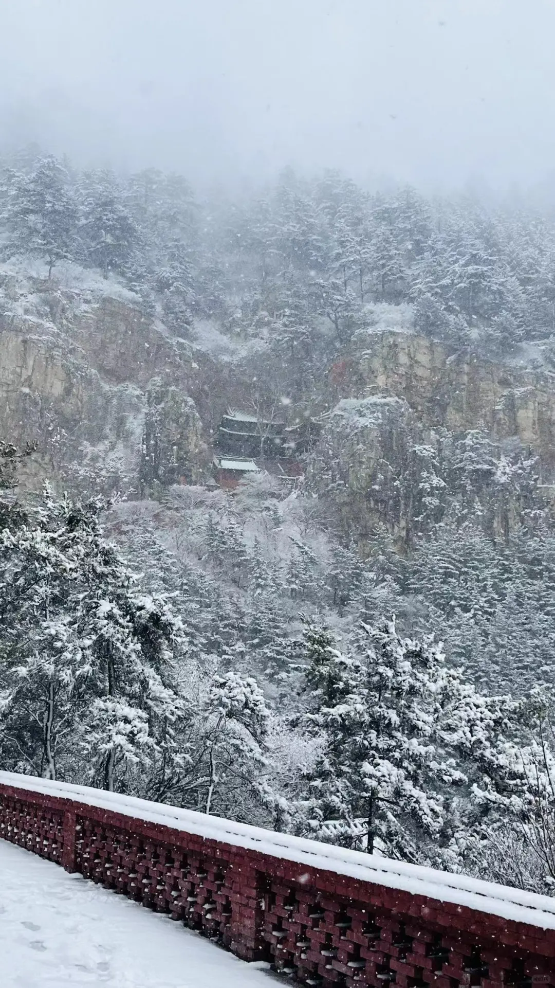 雪后大同❄️美得一塌糊涂