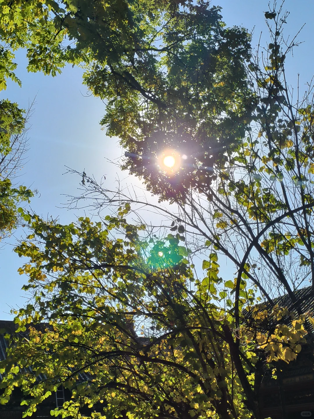 长治秋日限定🧡出片像呼吸一样简单❗