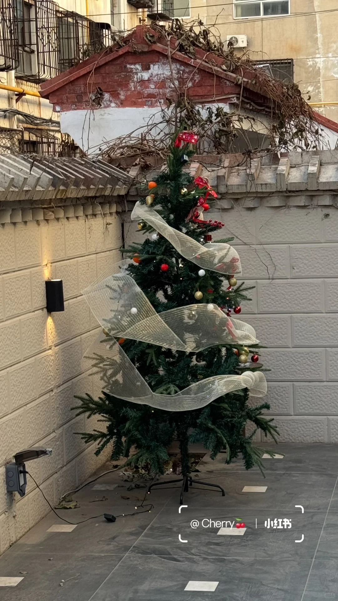 谁懂啊！在大同住进了我的梦想小院🍂