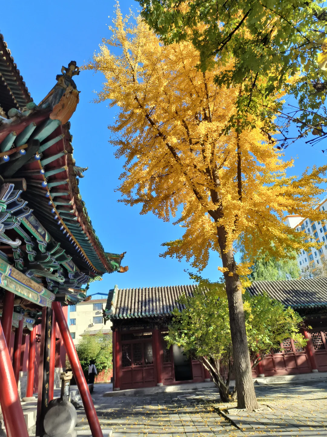 长治秋日限定🧡出片像呼吸一样简单❗