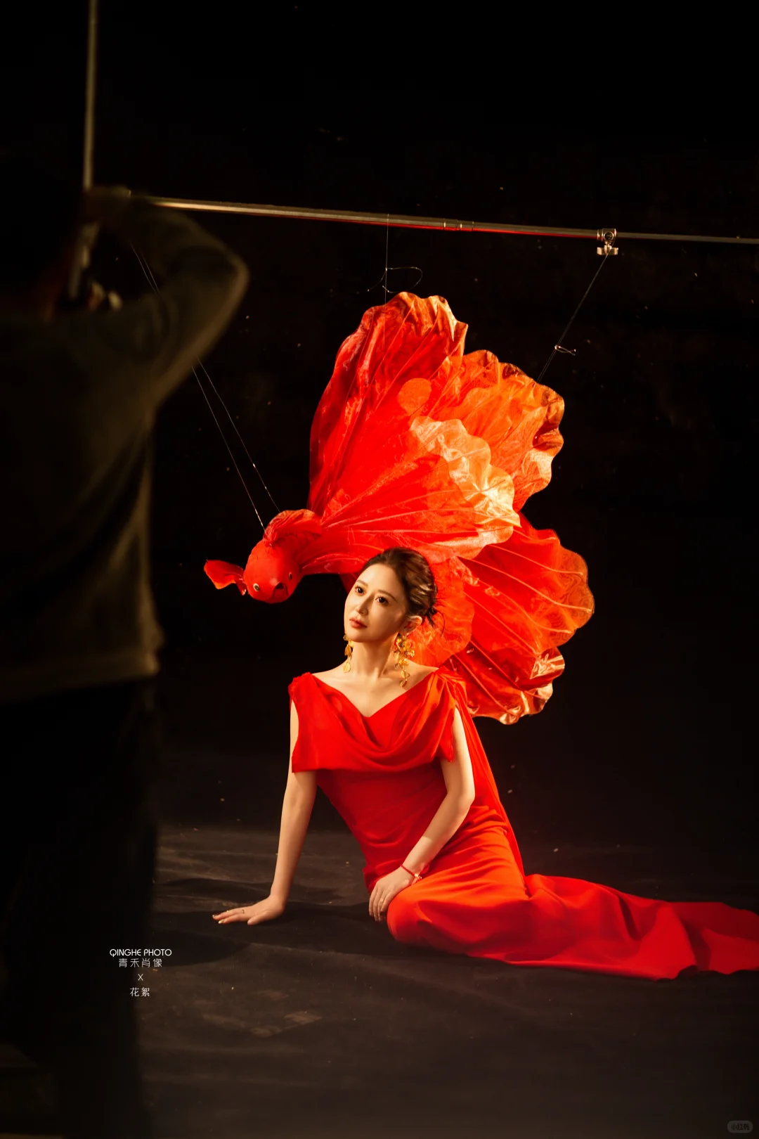 红色锦鲤大同新年写真