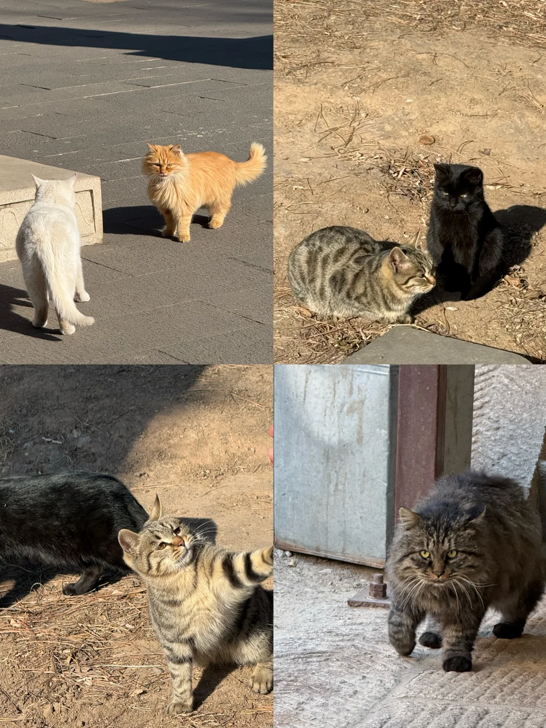 大同旅游后劲太大了！