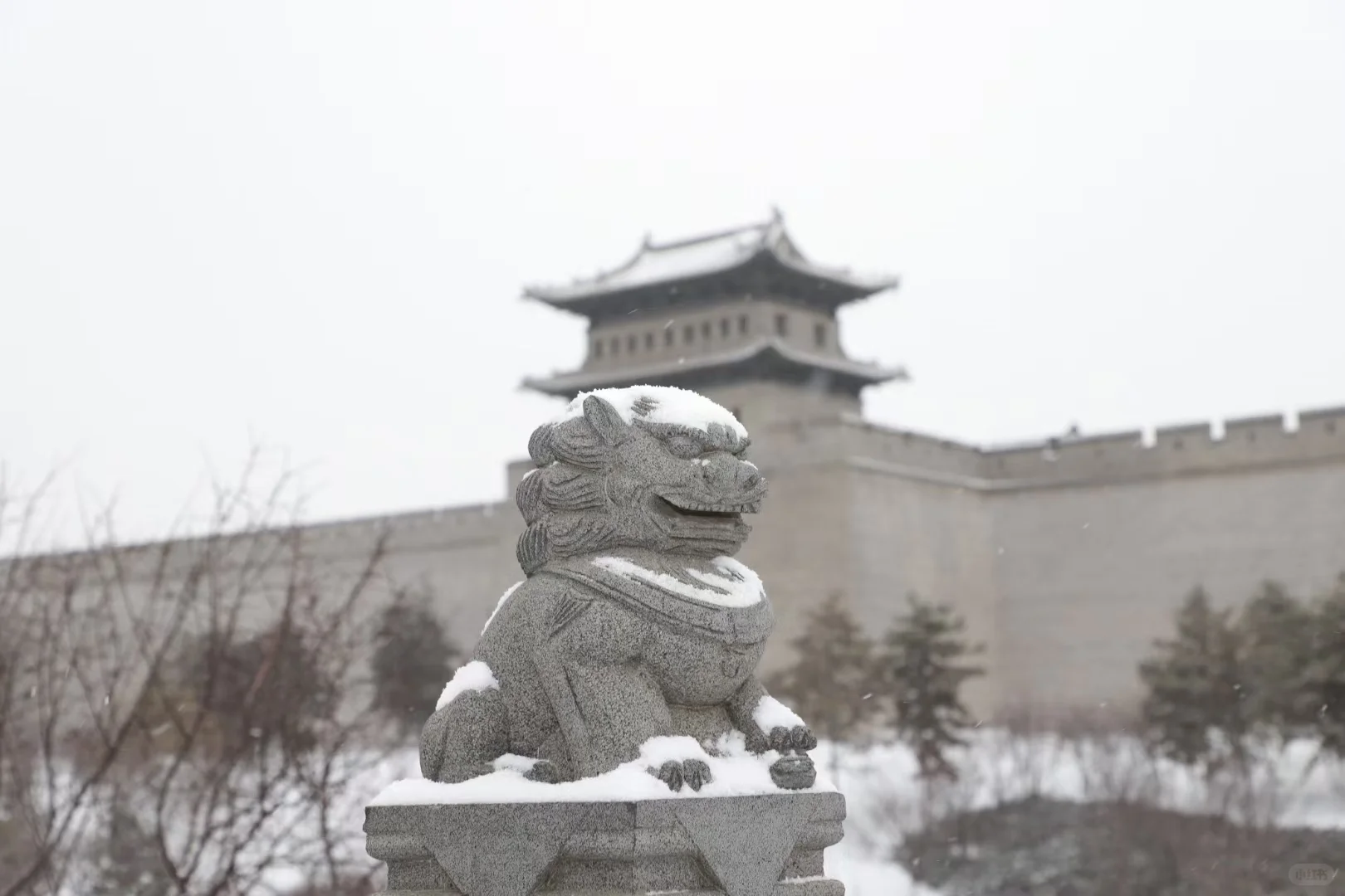雪后大同❄️美得一塌糊涂