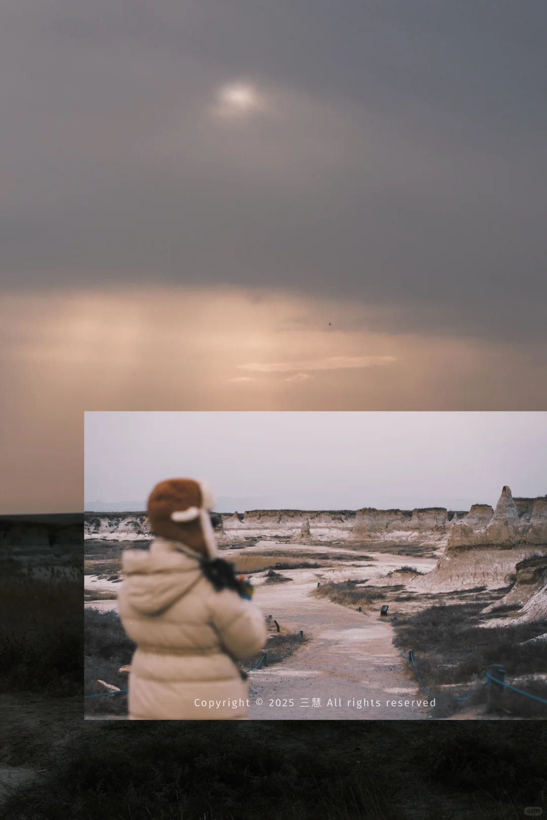 大同富士女摄｜北方冬日枯树 中式美学氛围感