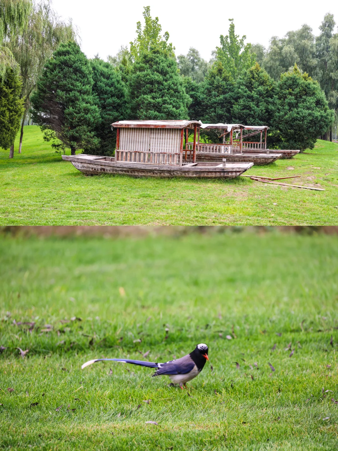 山西宝藏小城｜解锁长治的N种玩法📷