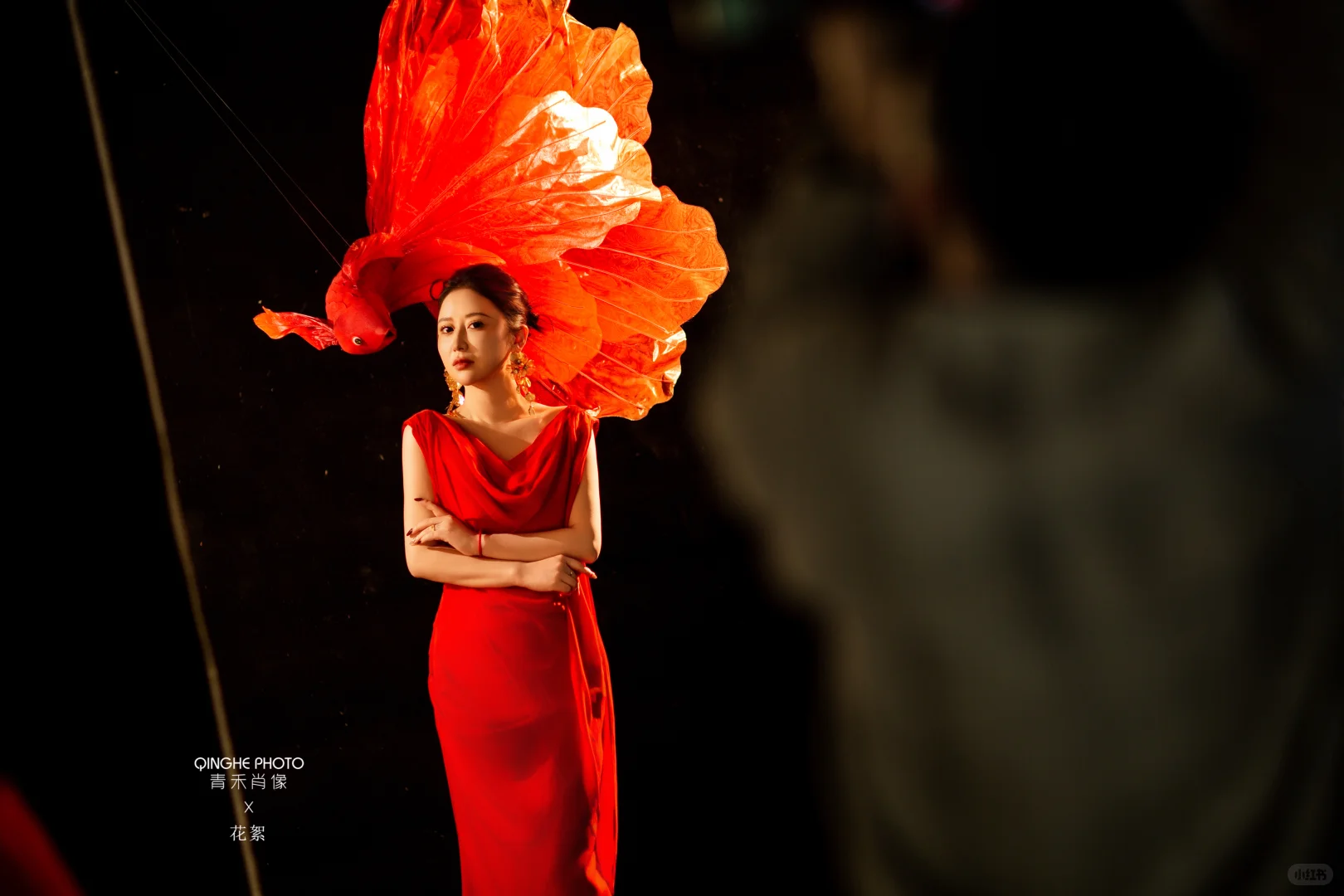 红色锦鲤大同新年写真