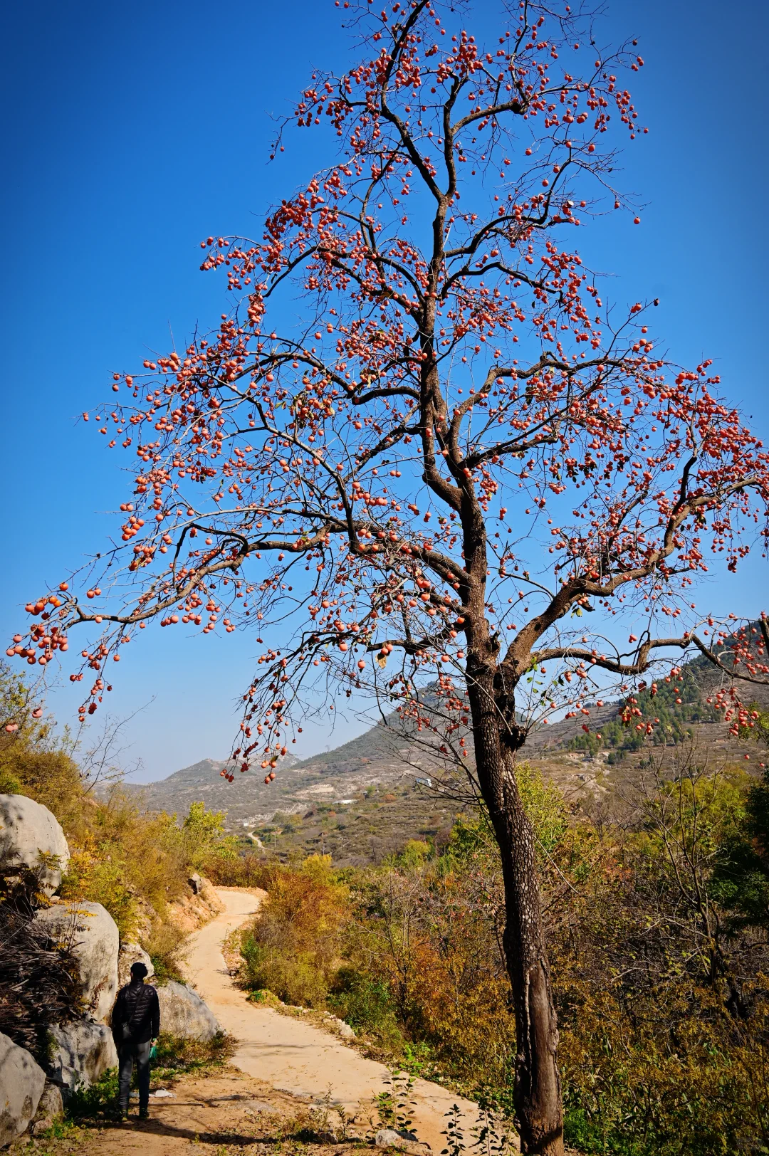 走进长治黎城县后峧村
