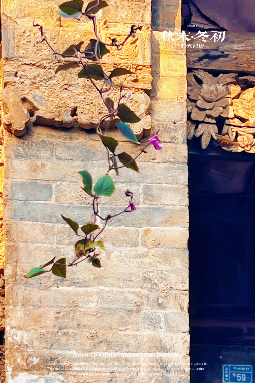 走进长治黎城县后峧村