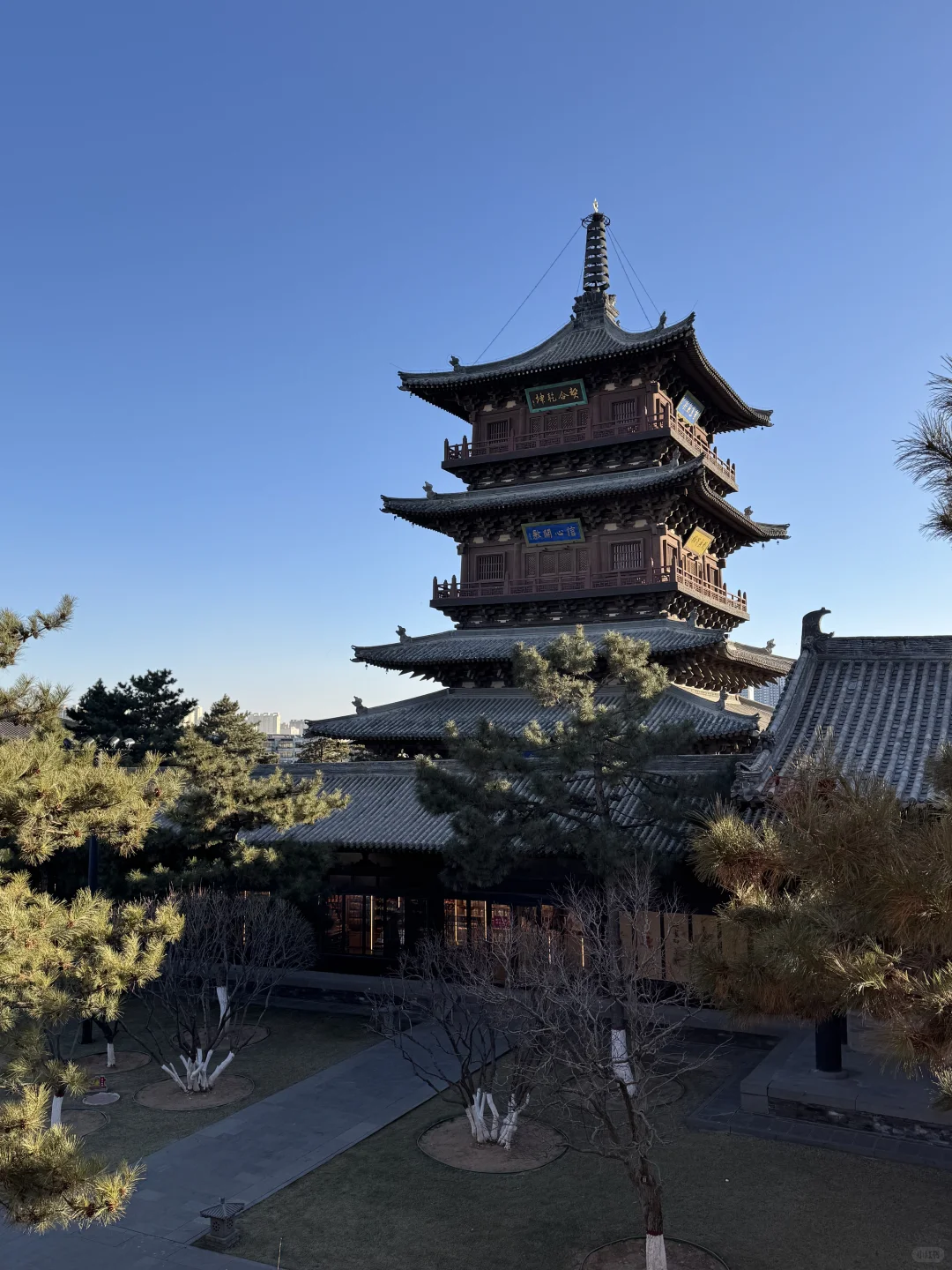 深圳打工人周末不请假去大同看古建筑