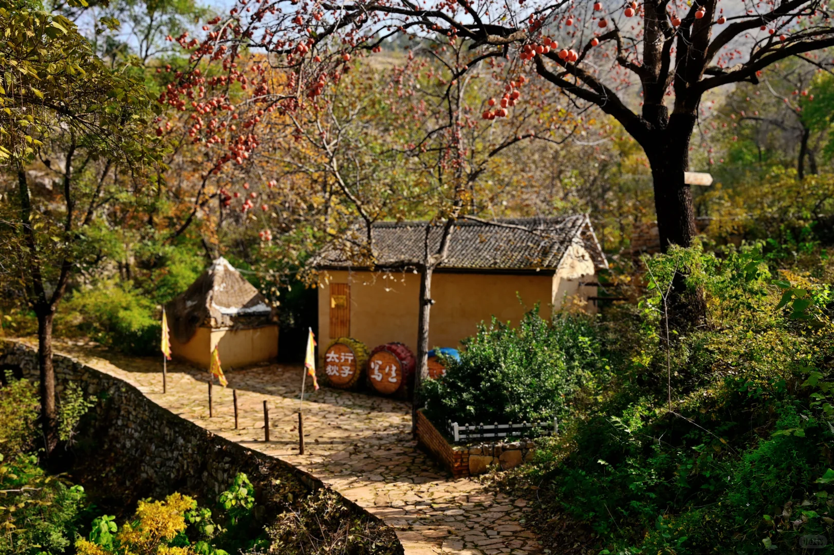 走进长治黎城县后峧村