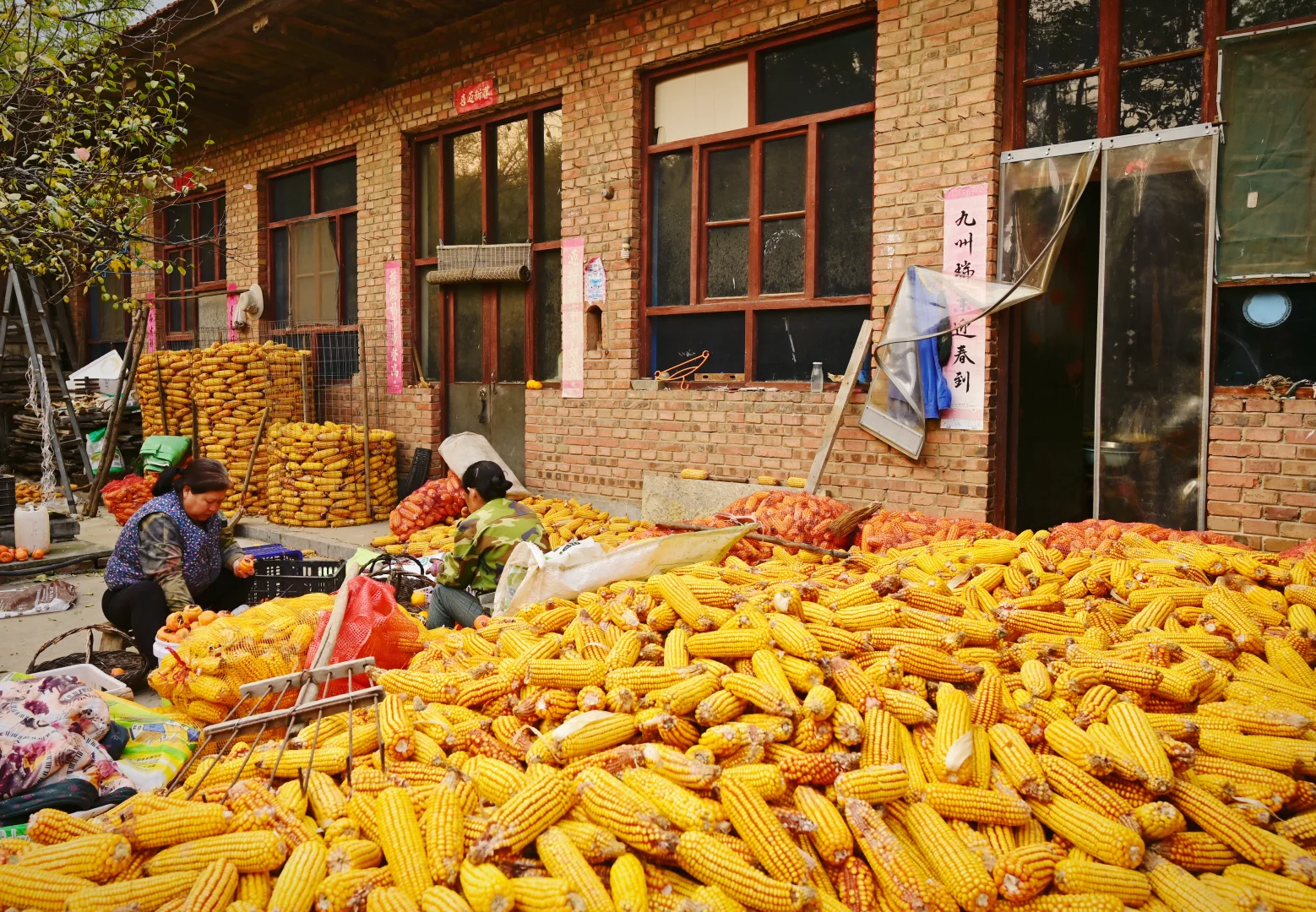 走进长治黎城县后峧村