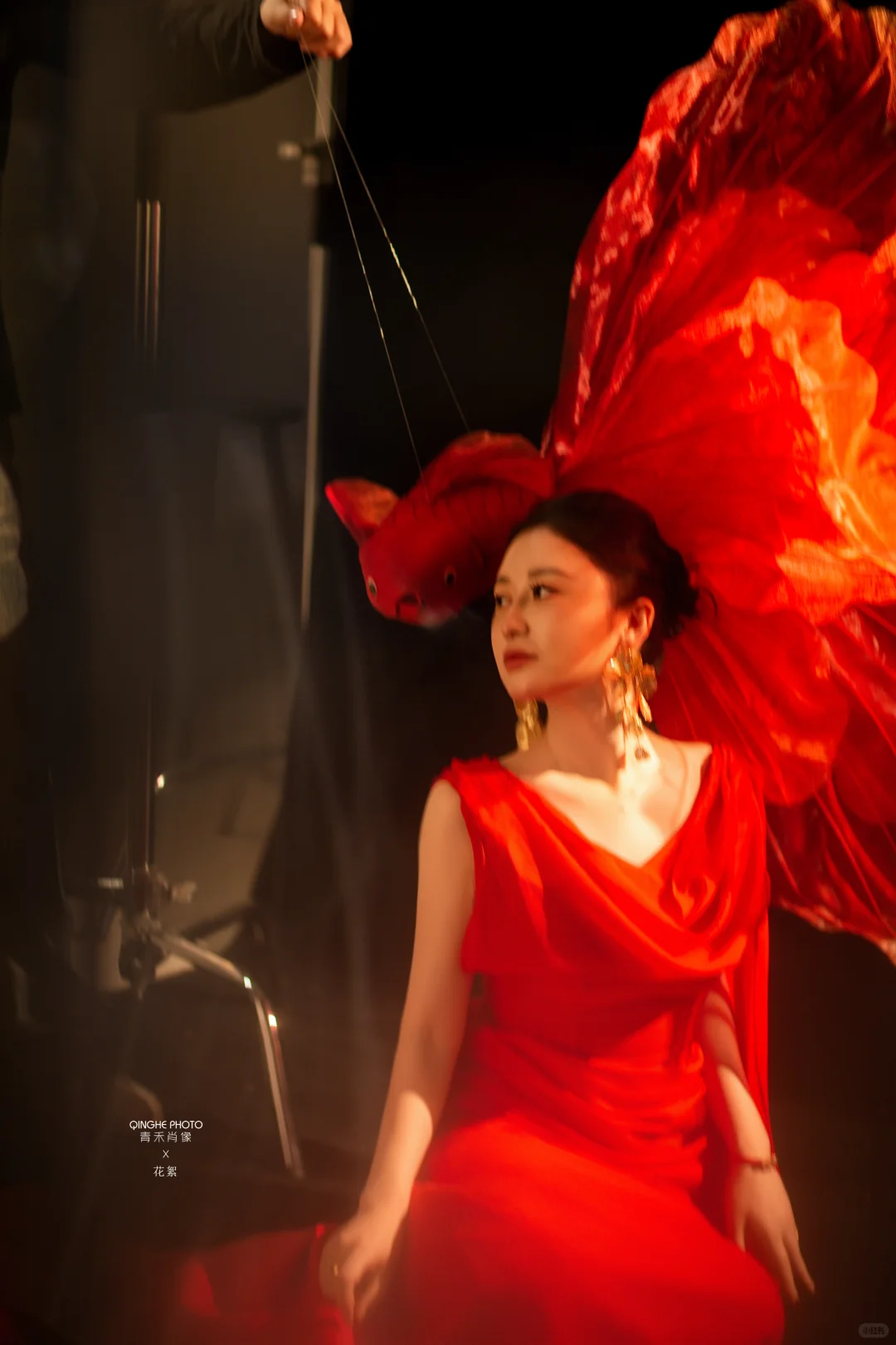 红色锦鲤大同新年写真