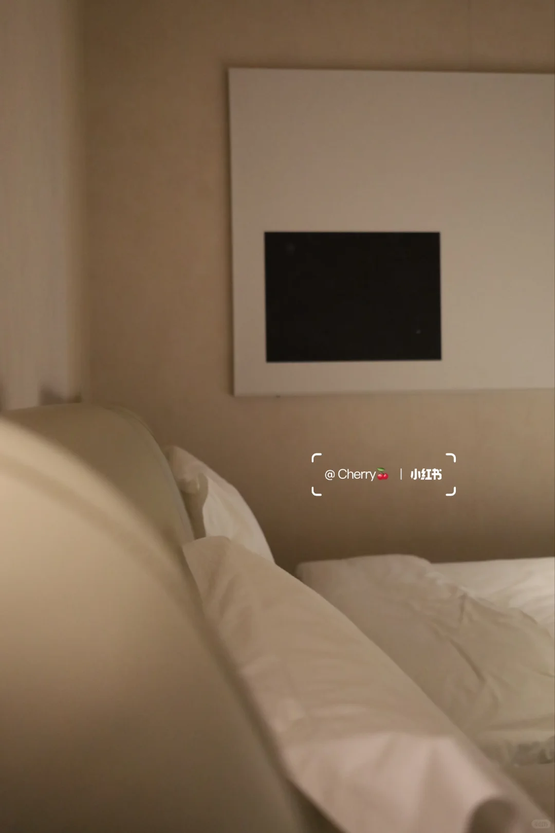 谁懂啊！在大同住进了我的梦想小院🍂