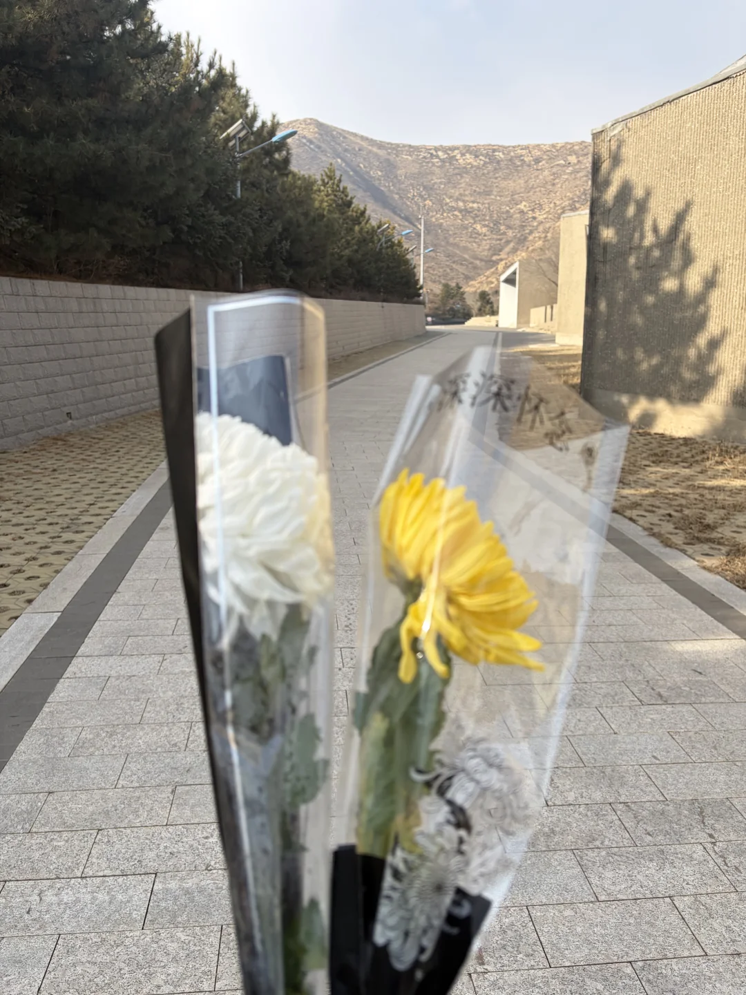 大同之行 不止有历史还有温暖