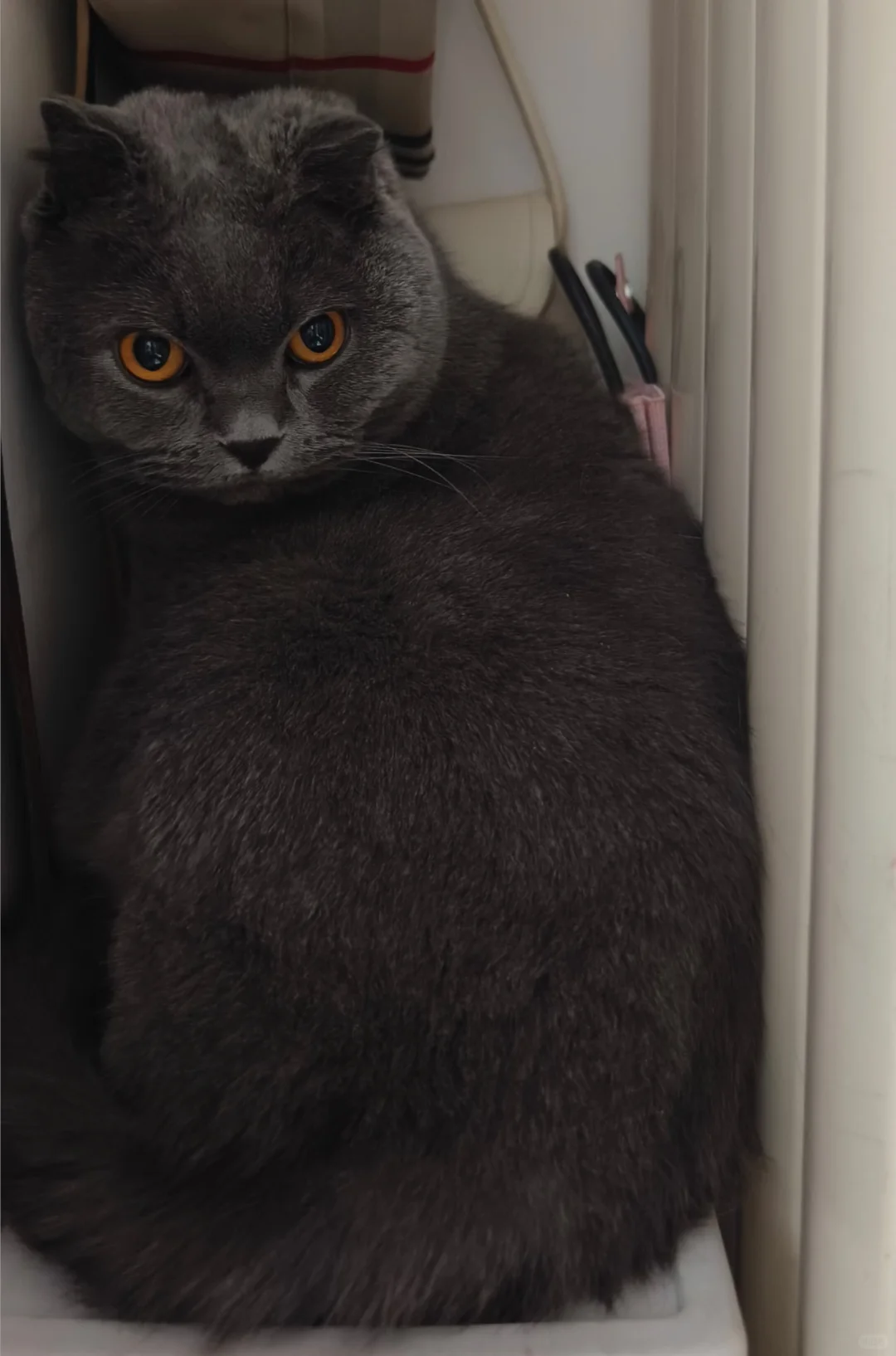 长治旅游 求推美食