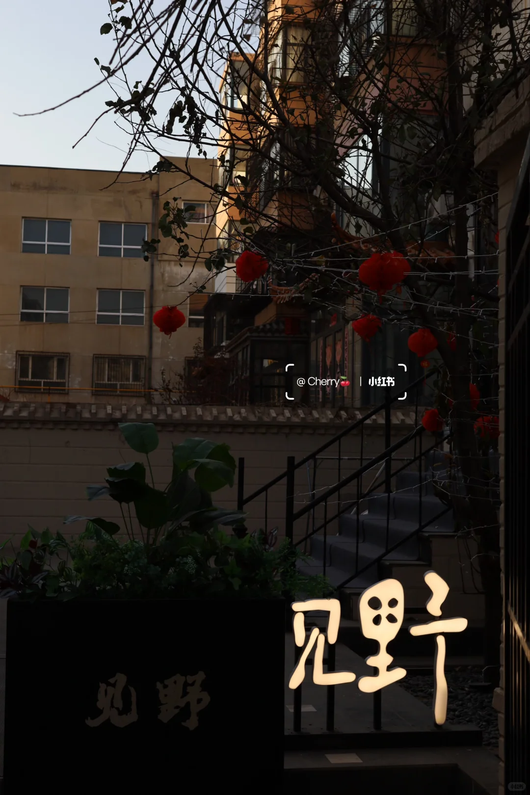 谁懂啊！在大同住进了我的梦想小院🍂