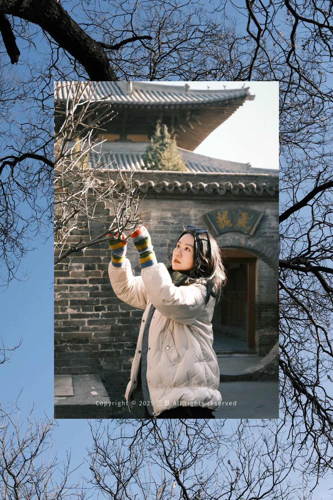 大同富士女摄｜北方冬日枯树 中式美学氛围感