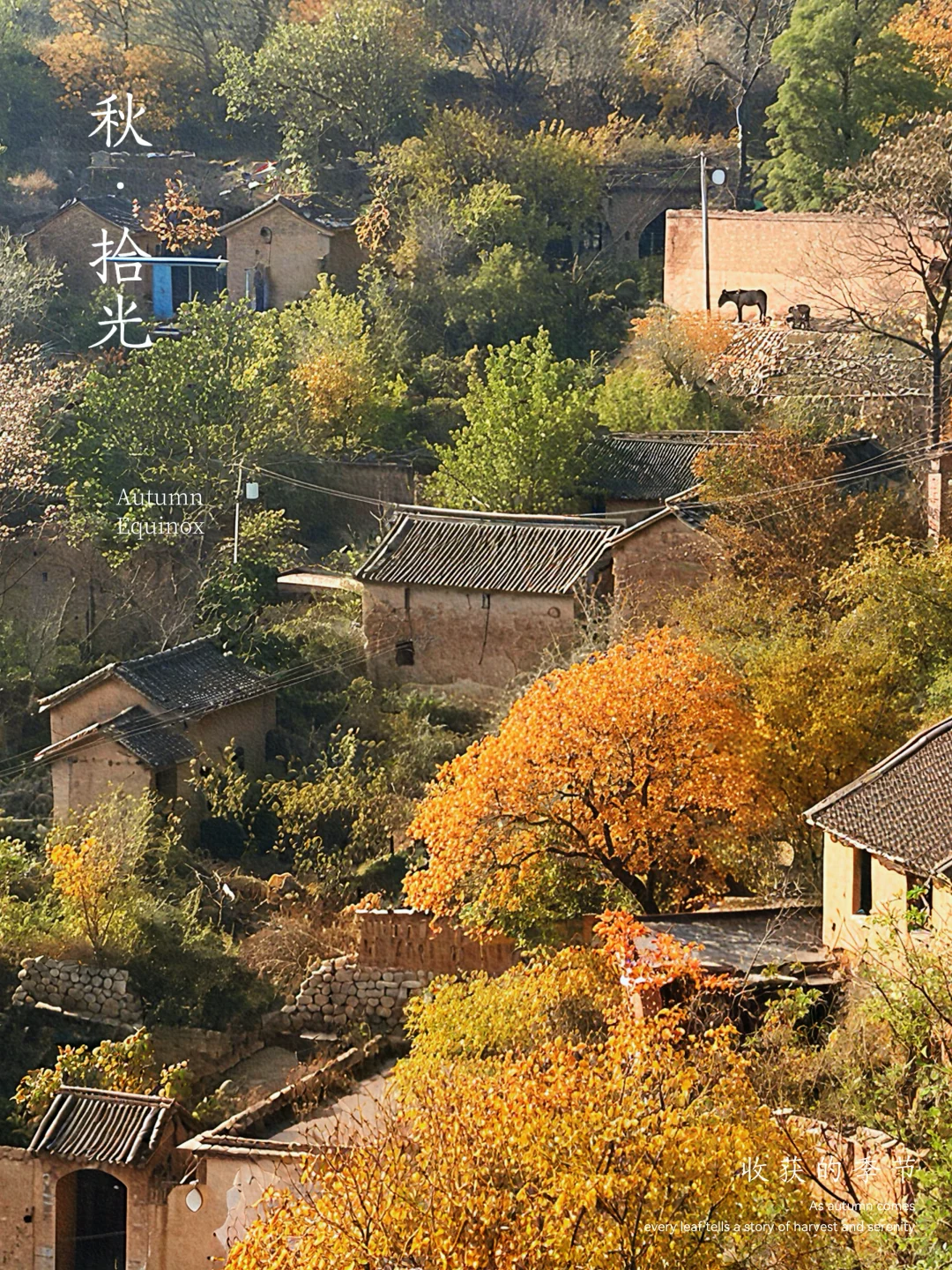走进长治黎城县后峧村