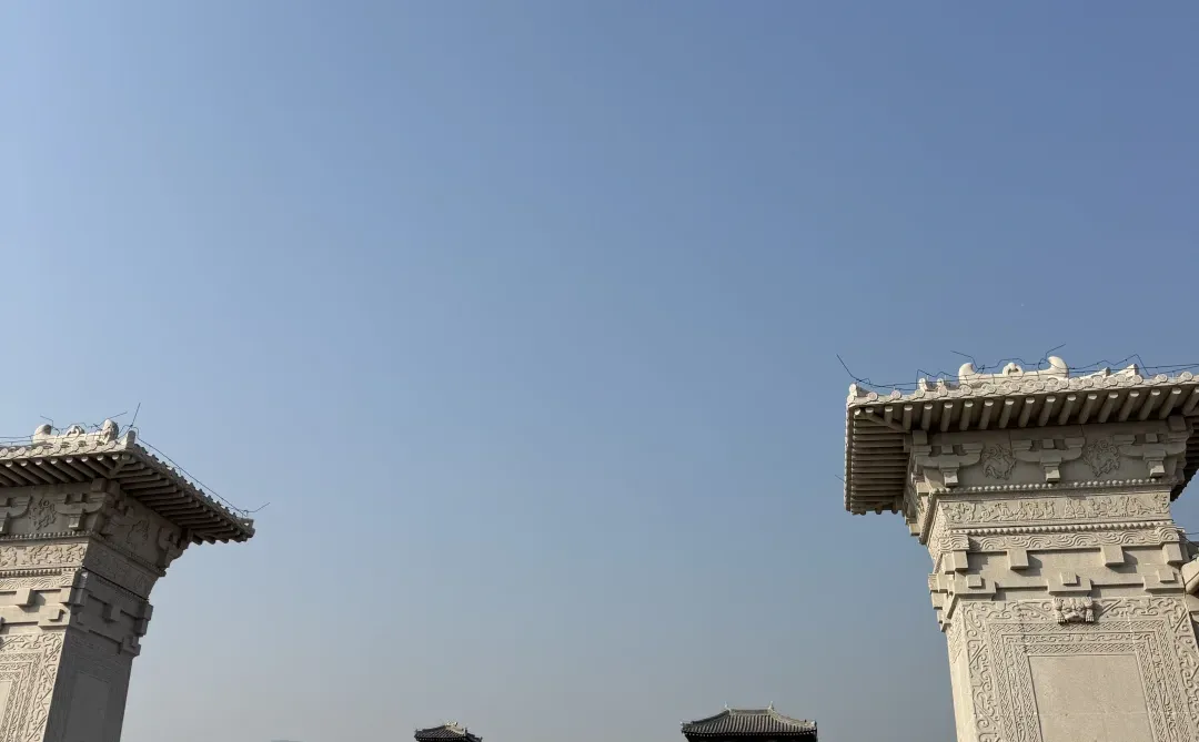 🌿在太原，我被一棵3000岁的古树，彻底治愈了