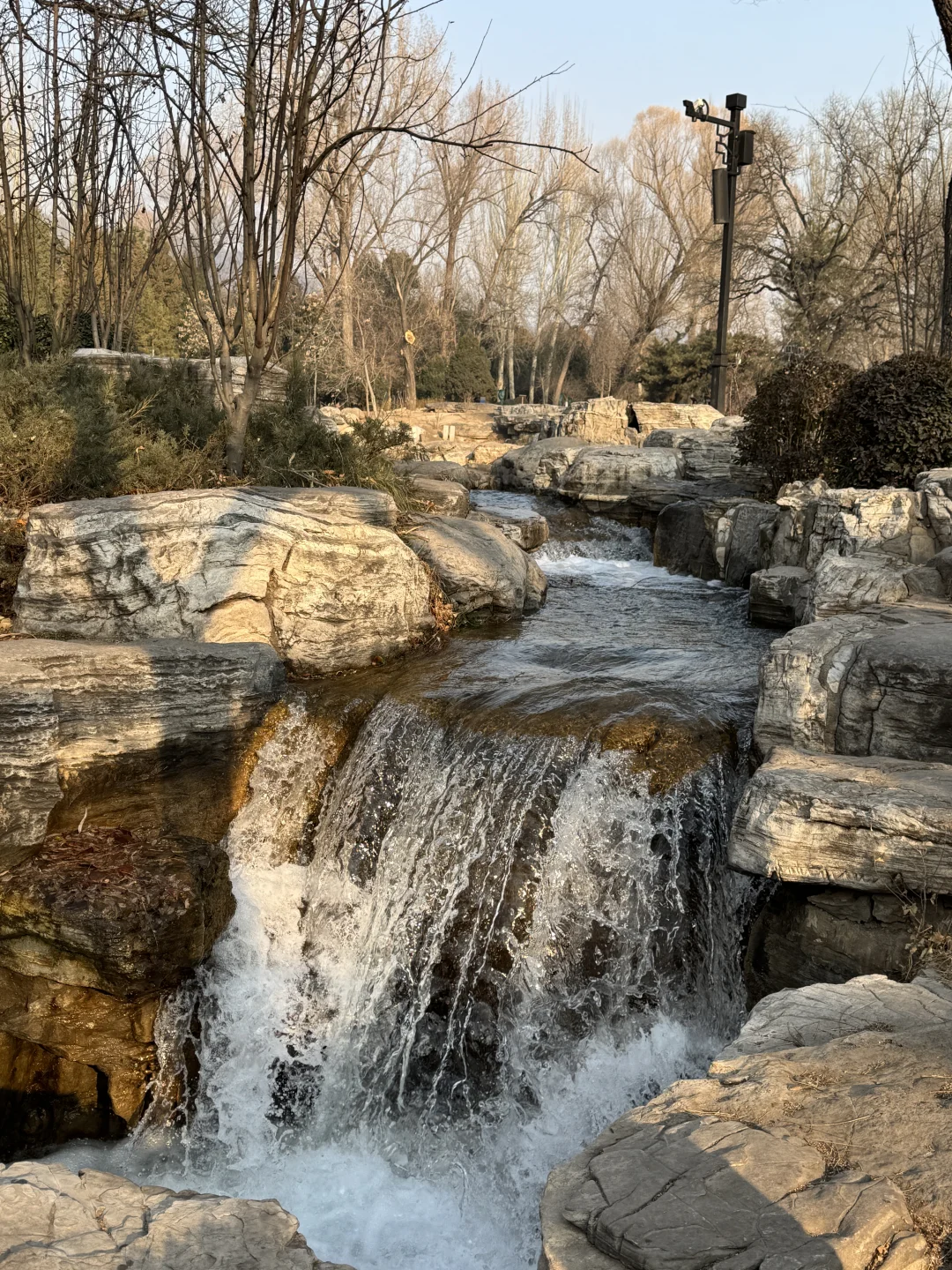 🌿在太原，我被一棵3000岁的古树，彻底治愈了
