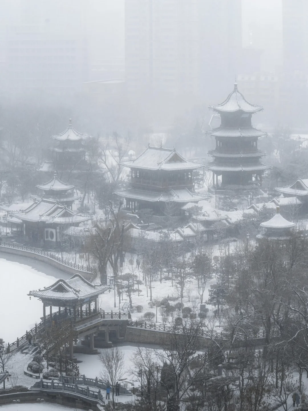 12.12（明天）太原大雪🌨️预报❗❗❗