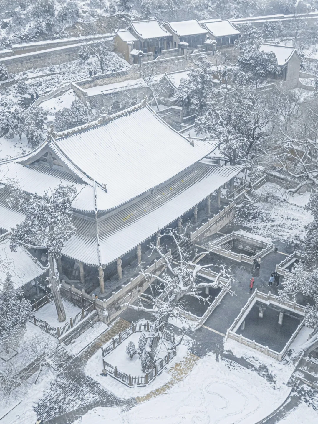 12.12（明天）太原大雪🌨️预报❗❗❗