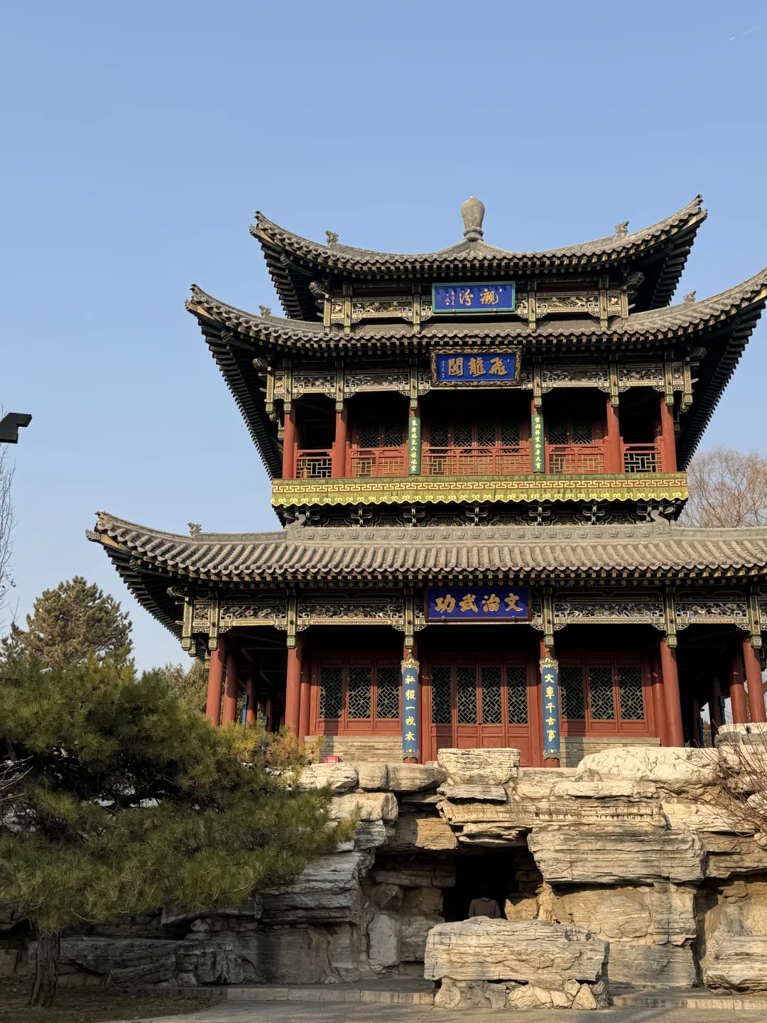 🌿在太原，我被一棵3000岁的古树，彻底治愈了