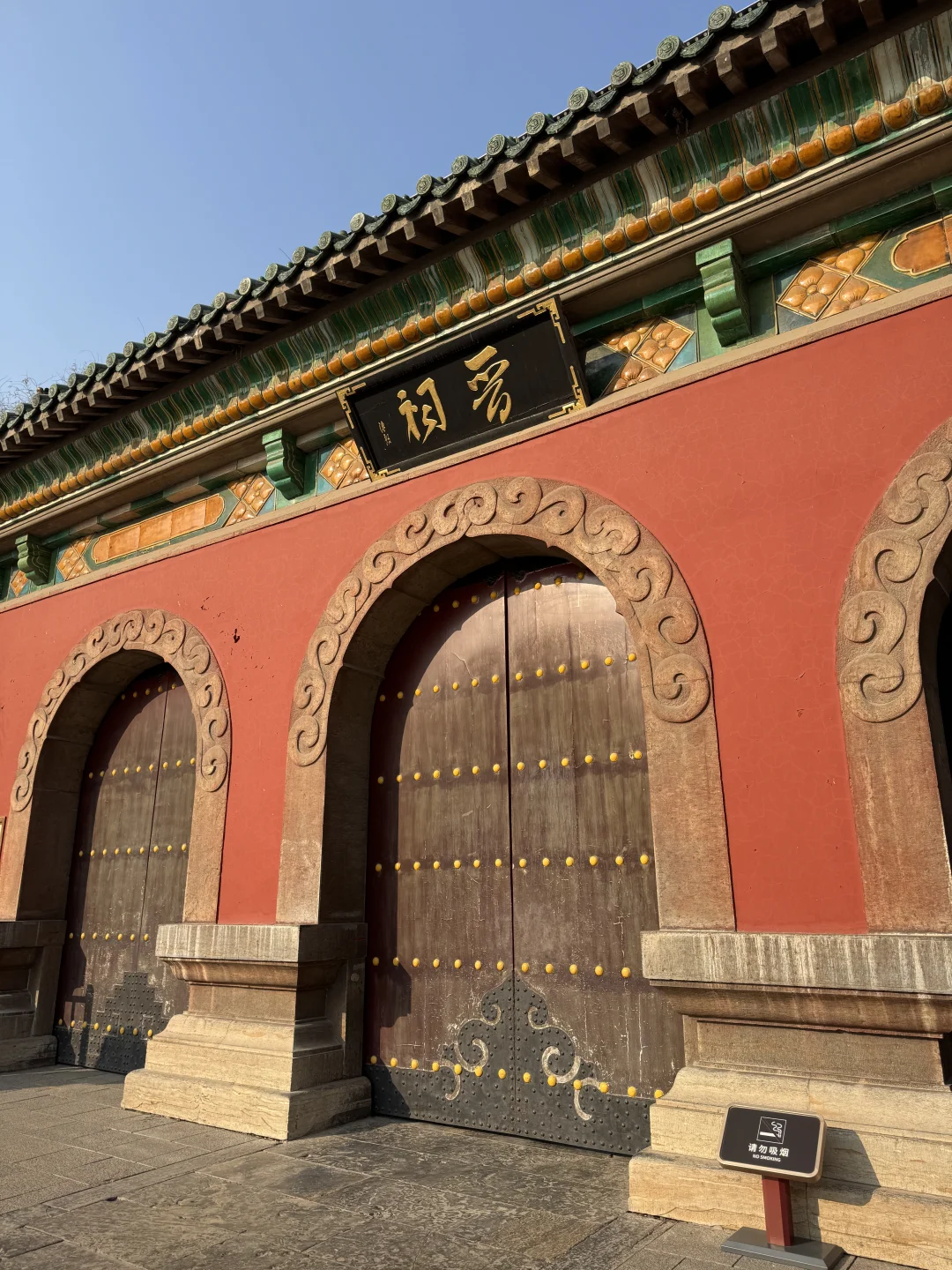 🌿在太原，我被一棵3000岁的古树，彻底治愈了