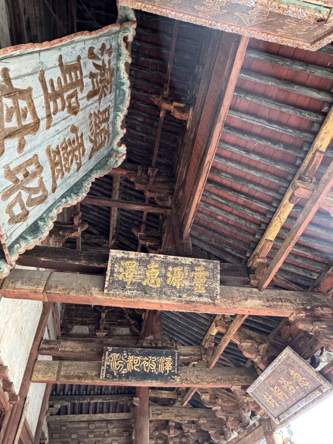 🌿在太原，我被一棵3000岁的古树，彻底治愈了