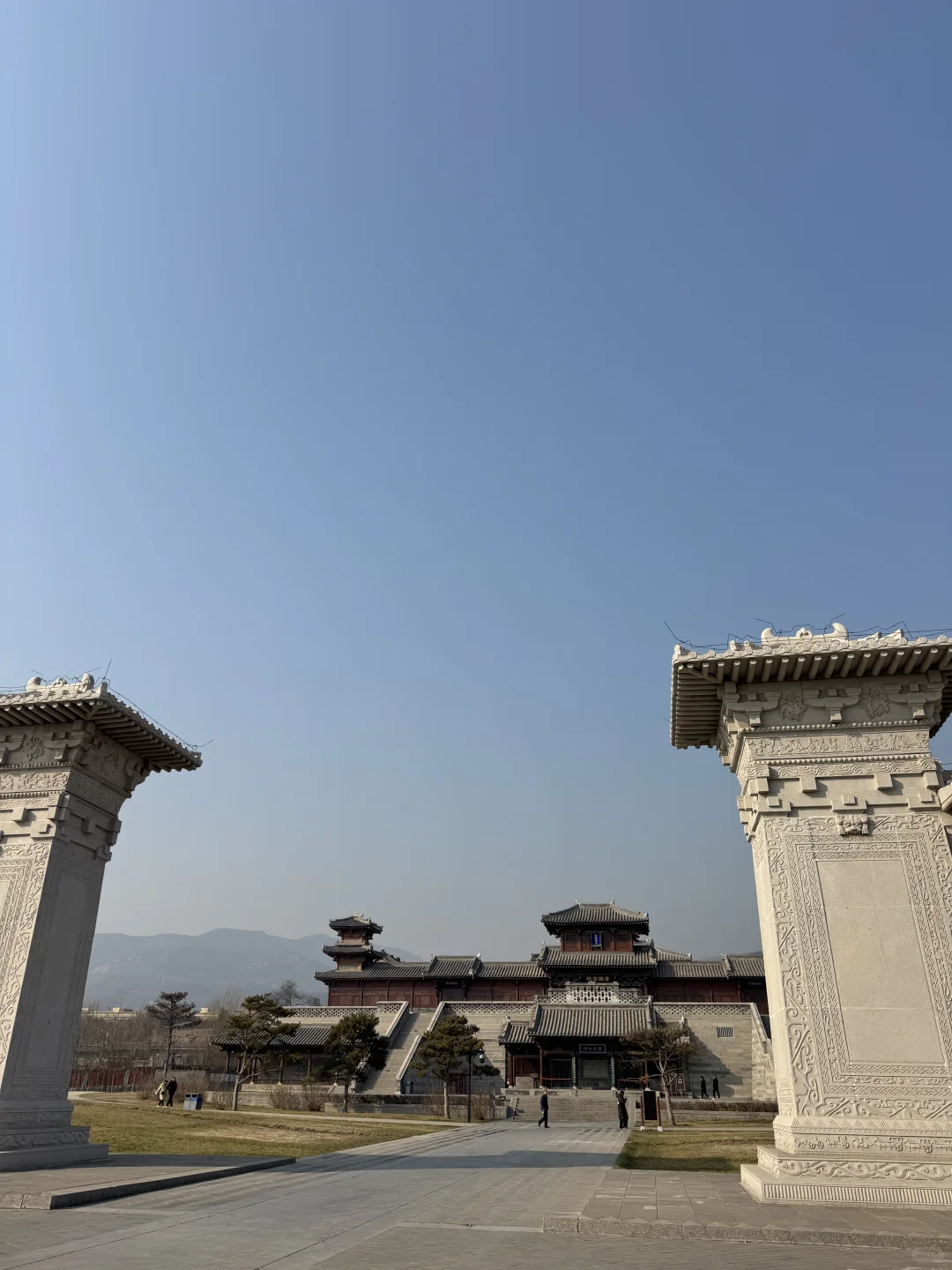 🌿在太原，我被一棵3000岁的古树，彻底治愈了