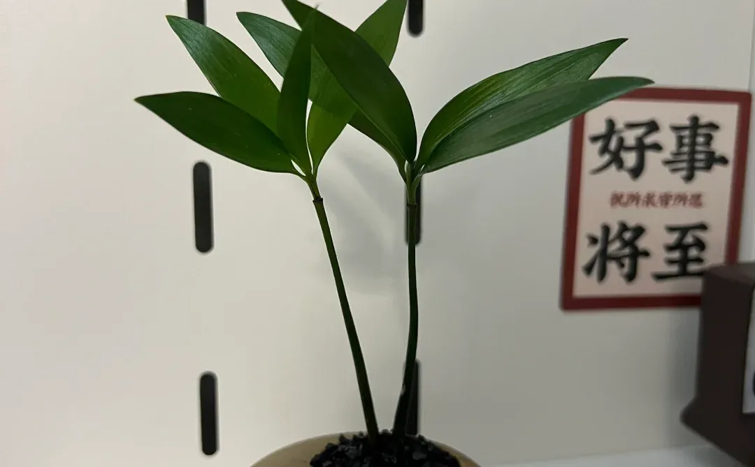 北京回太原，我们是幸运的