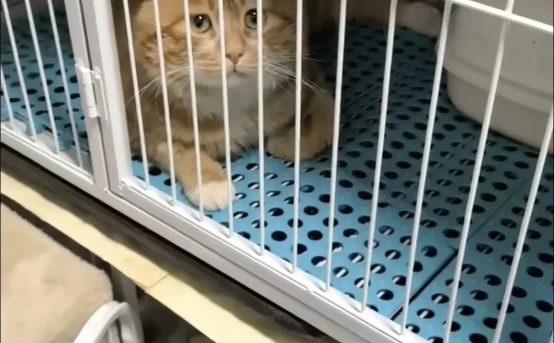 太原，高需求宝宝