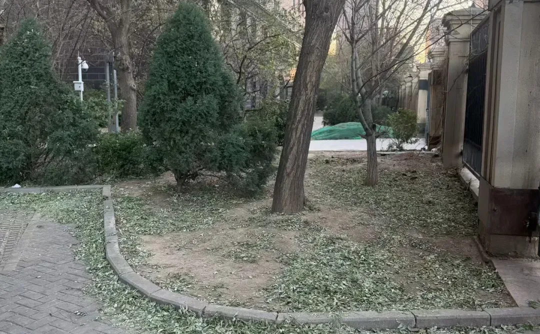 在太原茂业寻求一层高端会所带院老板看过来