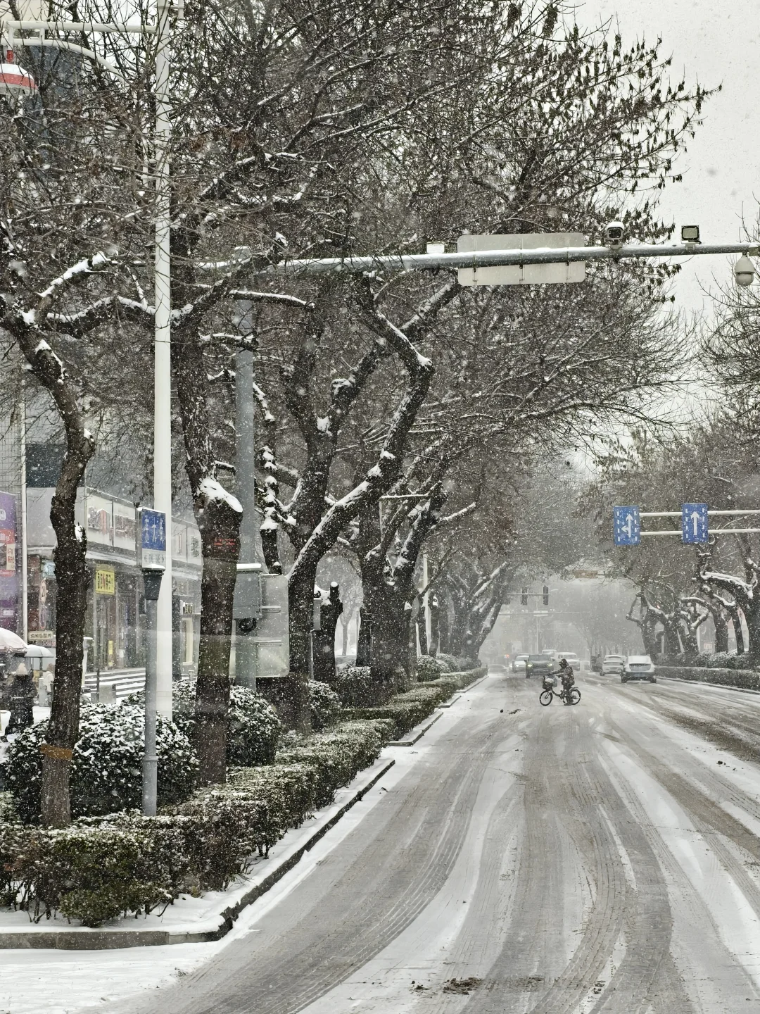 长治下雪了🌨️