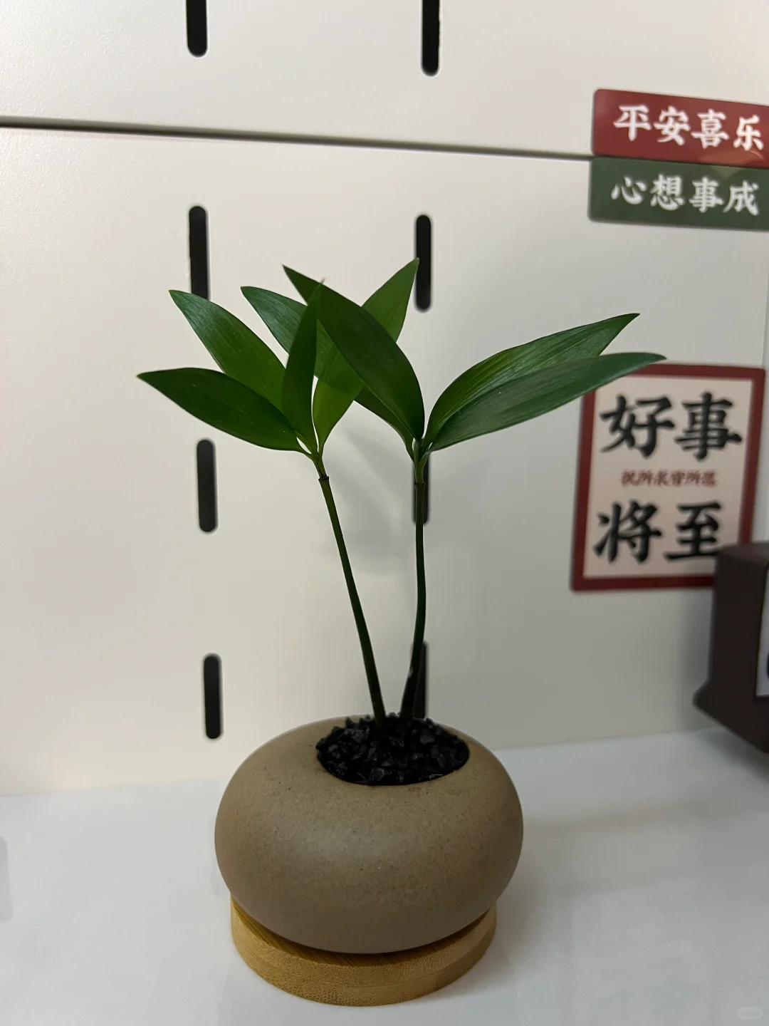 北京回太原，我们是幸运的