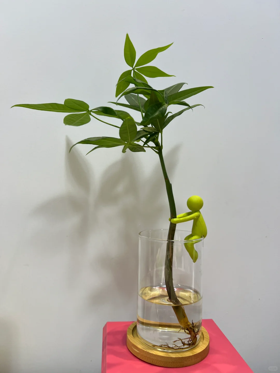 北京回太原，我们是幸运的