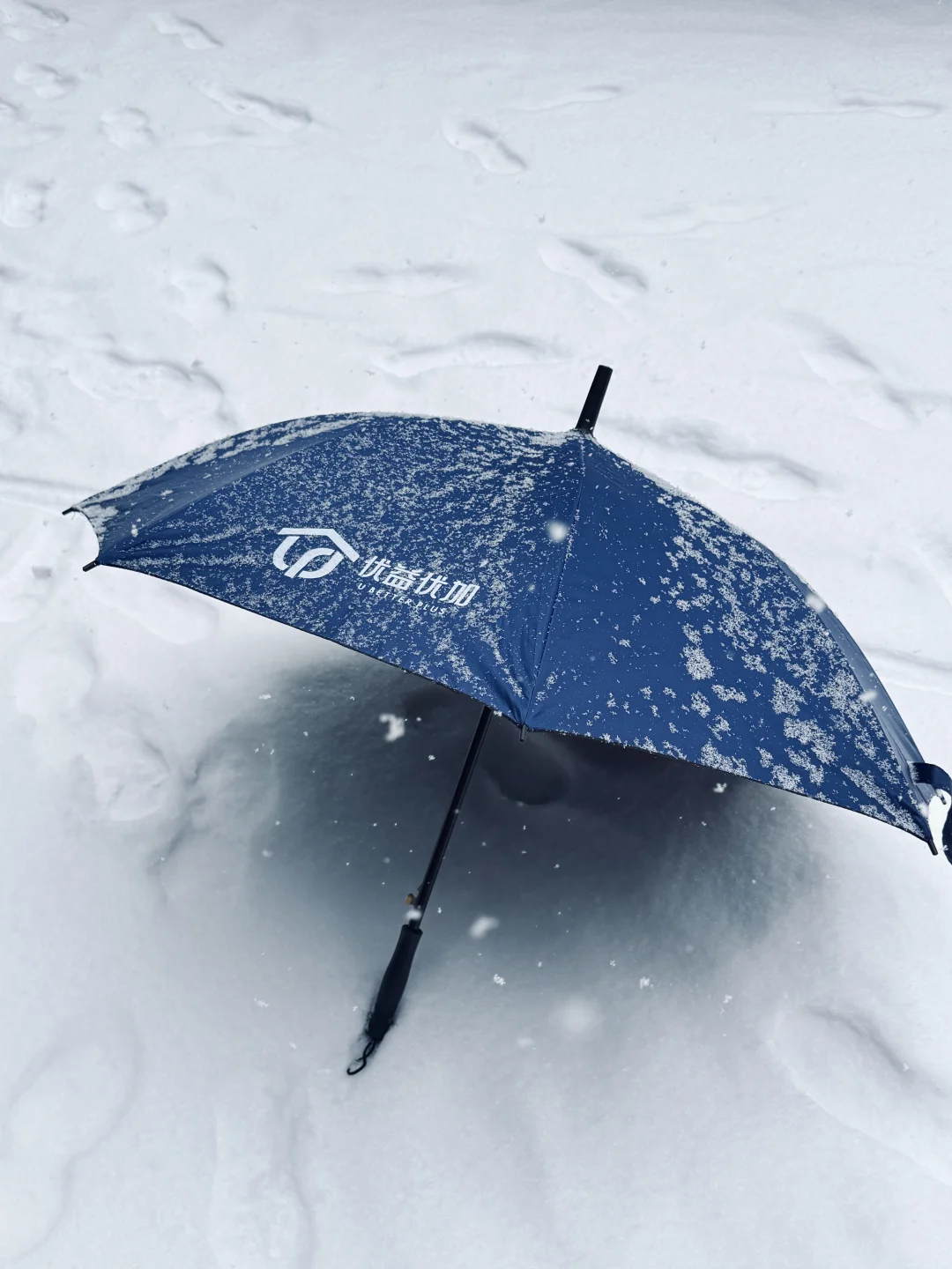 ‼️属于长治人的初雪