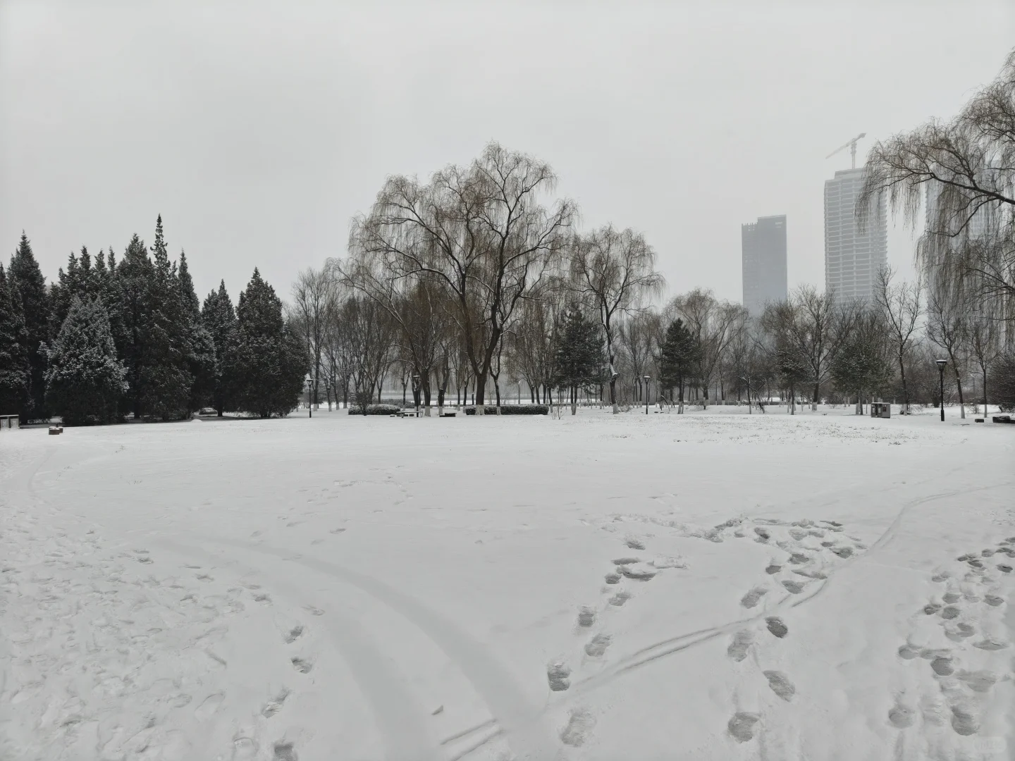 太原下雪了🌨️雪落人间的寂静诗❄️