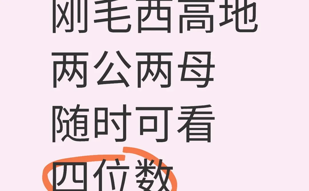 太原喜欢西高地随时可看