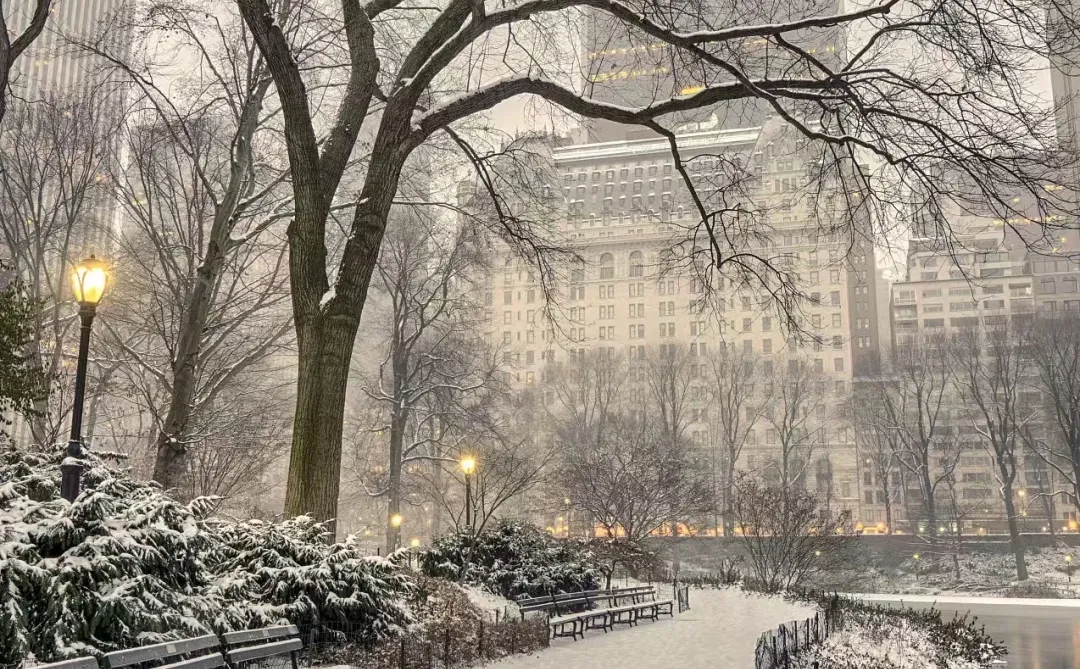 ❄️太原大雪预警！12.11-12迎初雪！
