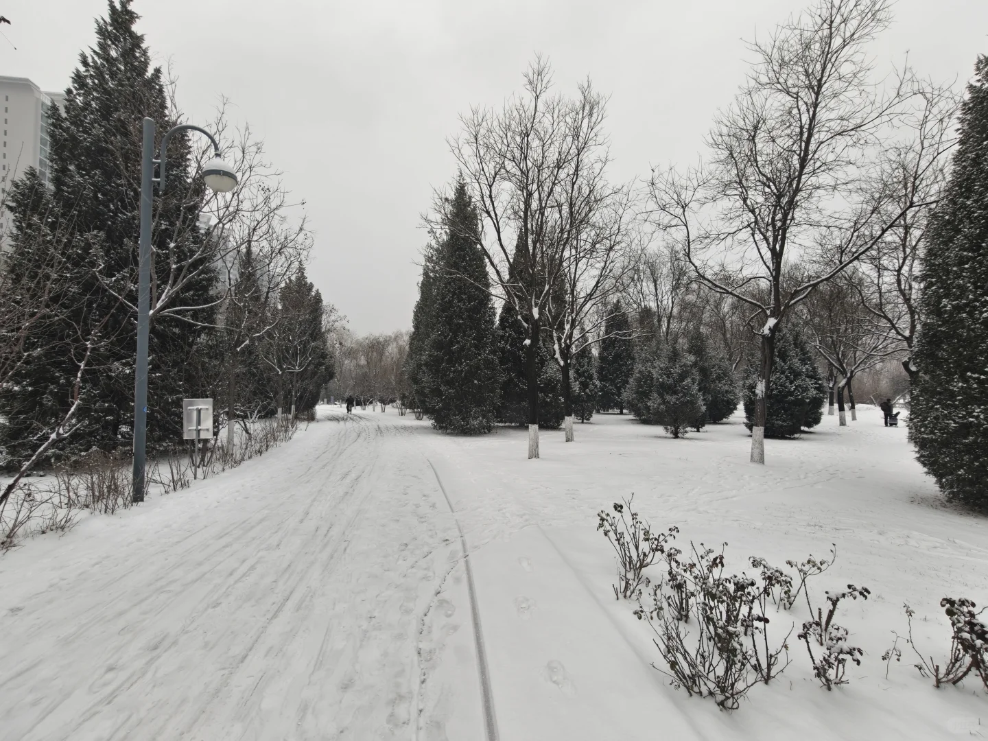 太原下雪了🌨️雪落人间的寂静诗❄️