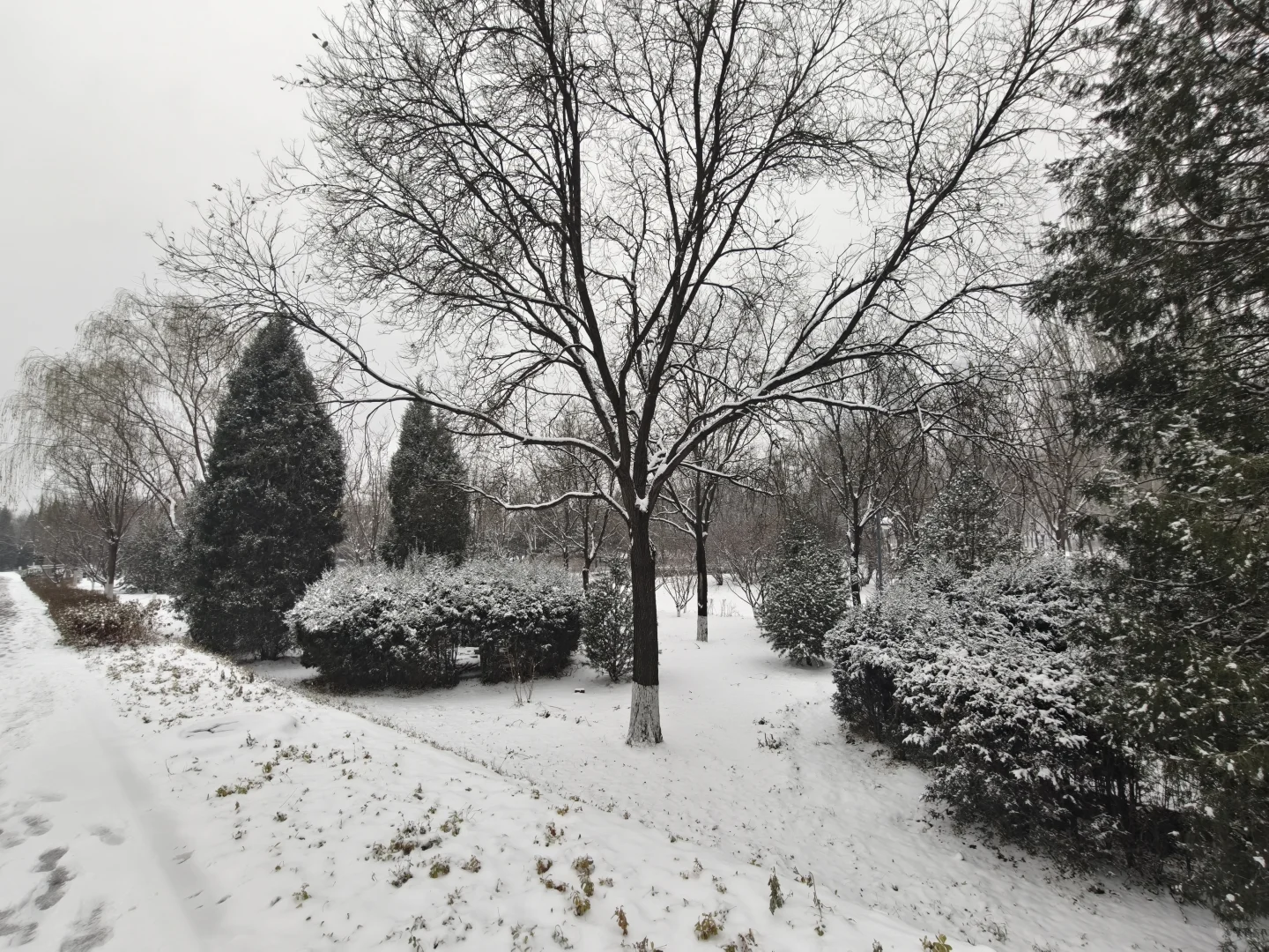 太原下雪了🌨️雪落人间的寂静诗❄️