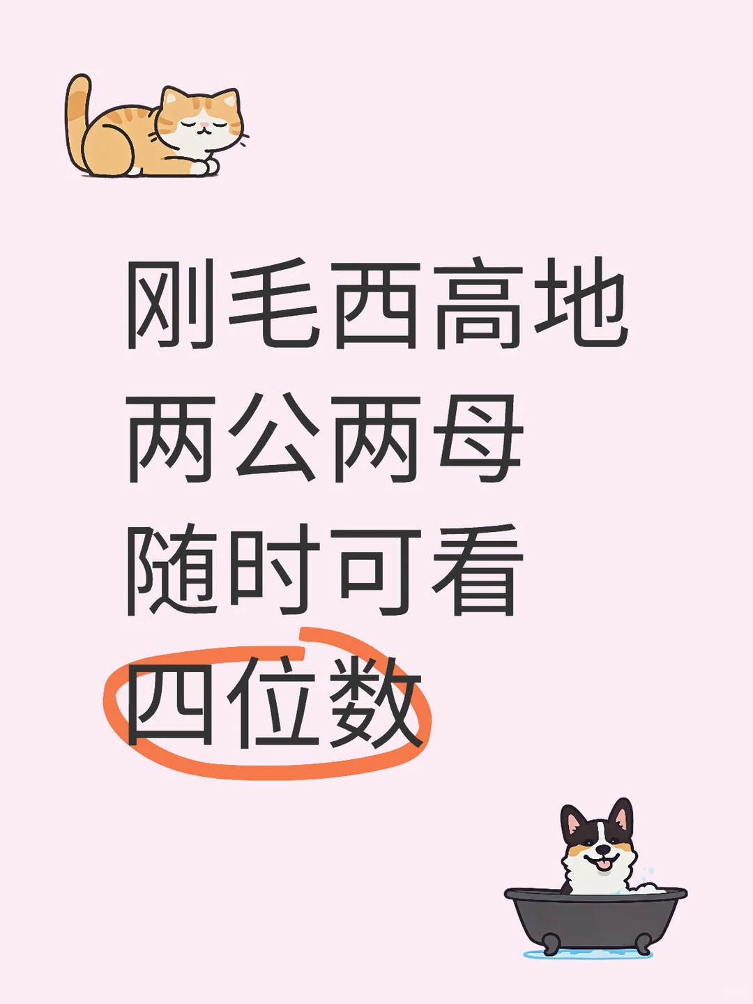 太原喜欢西高地随时可看