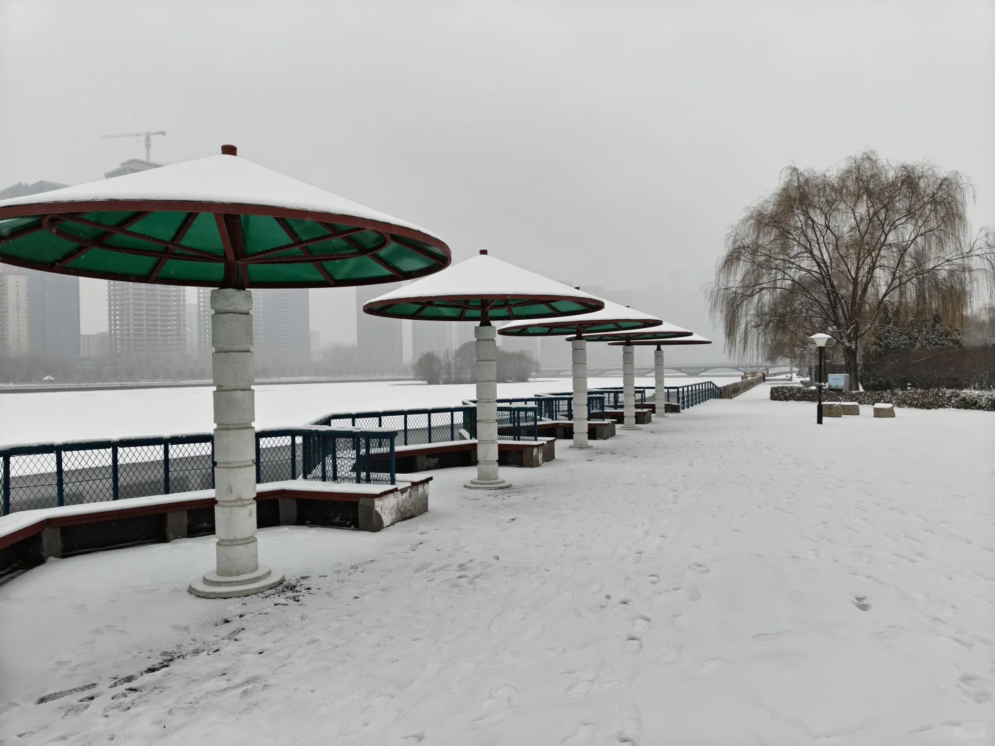 太原下雪了🌨️雪落人间的寂静诗❄️