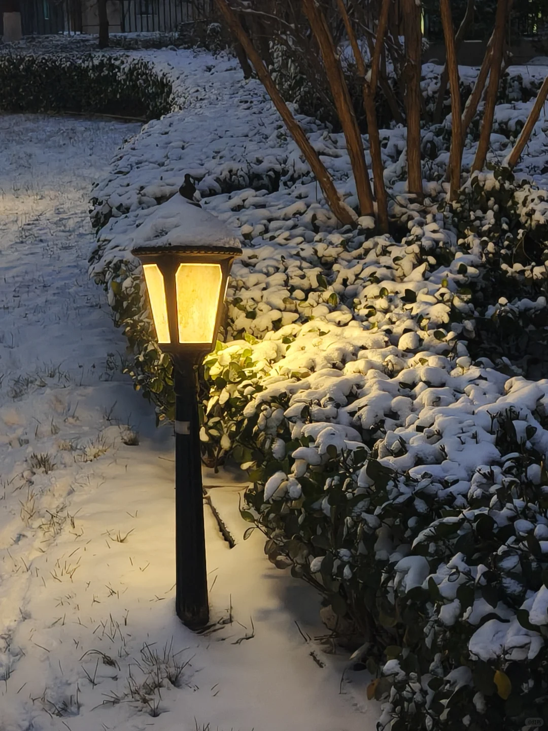 太原 2025 第一场大雪记录📝