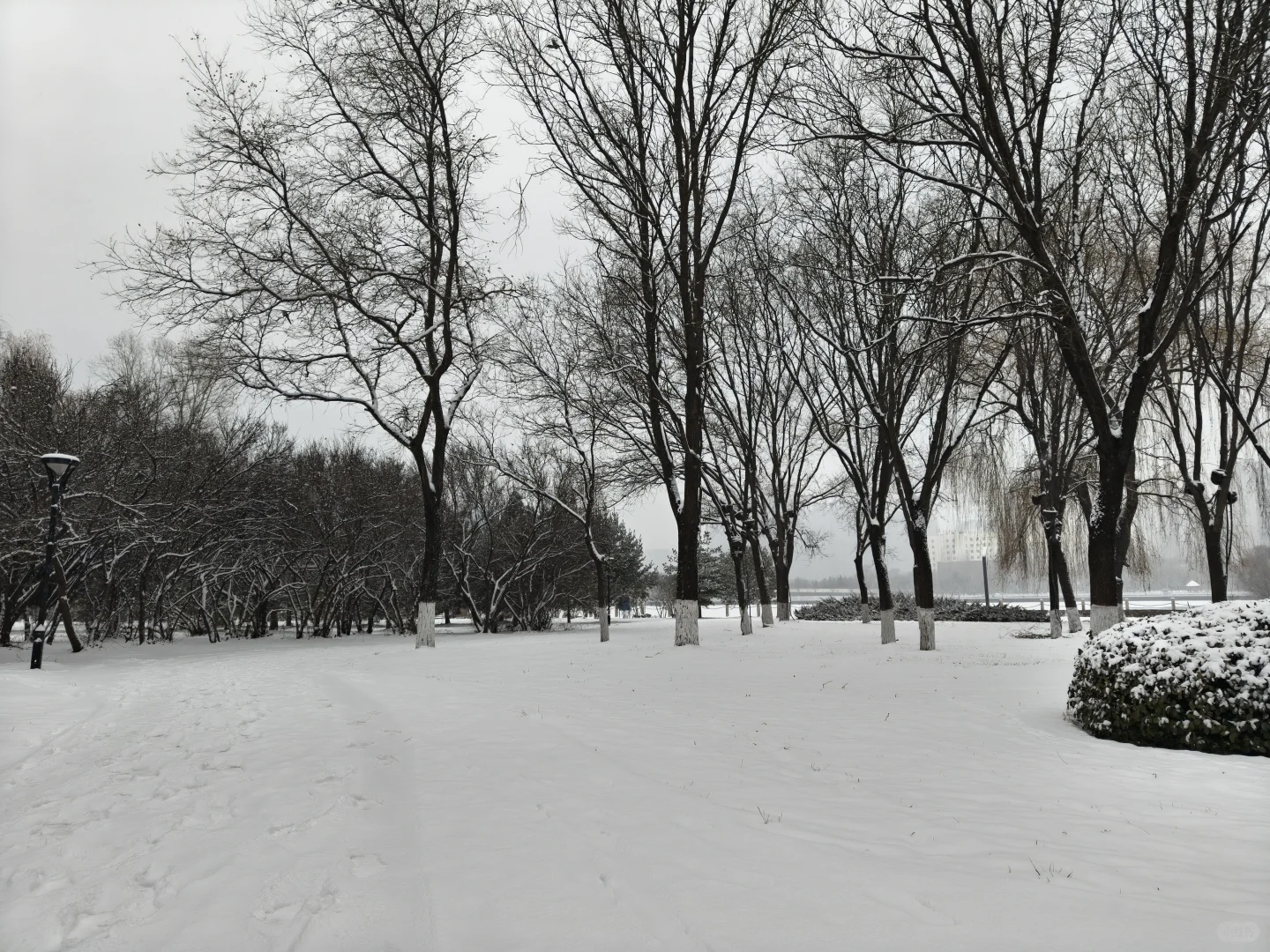 太原下雪了🌨️雪落人间的寂静诗❄️